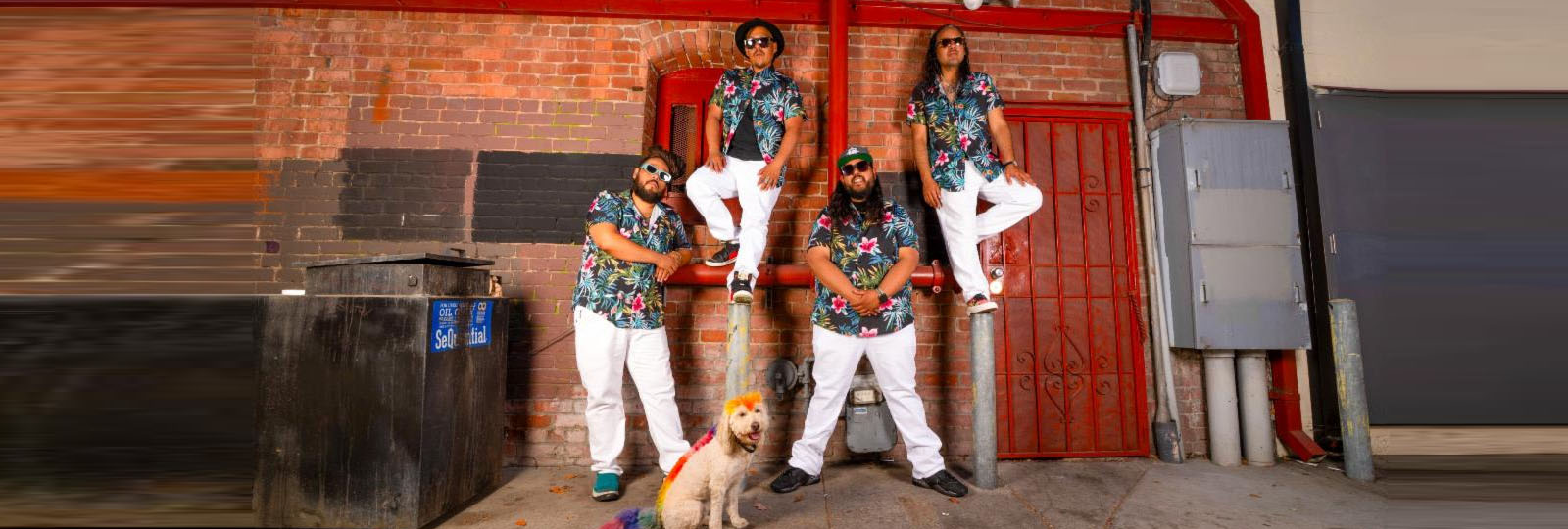 ¿Qiensave? regresa con “FISHSALADCUMBIACHRONICALS”